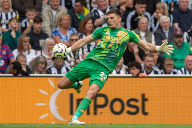 仅展示了甲 仅展示了甲