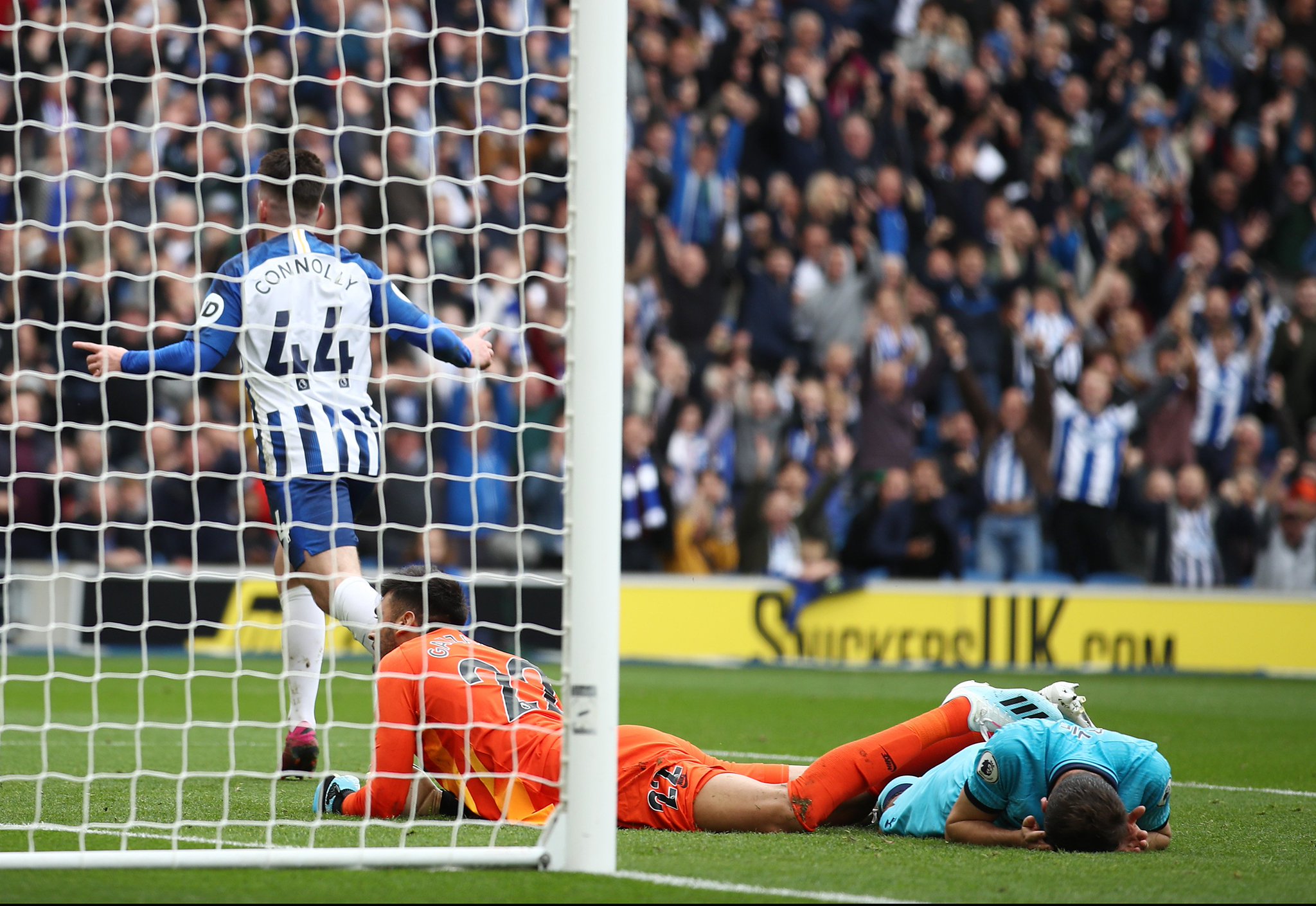 整支球队的 整支球队的